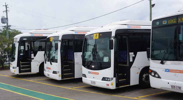 CDC Sunshine Coast Hino RN8J Mills-Tui Orbit 122, 10, 45 & Mercedes OH1728 Custom SB40 104